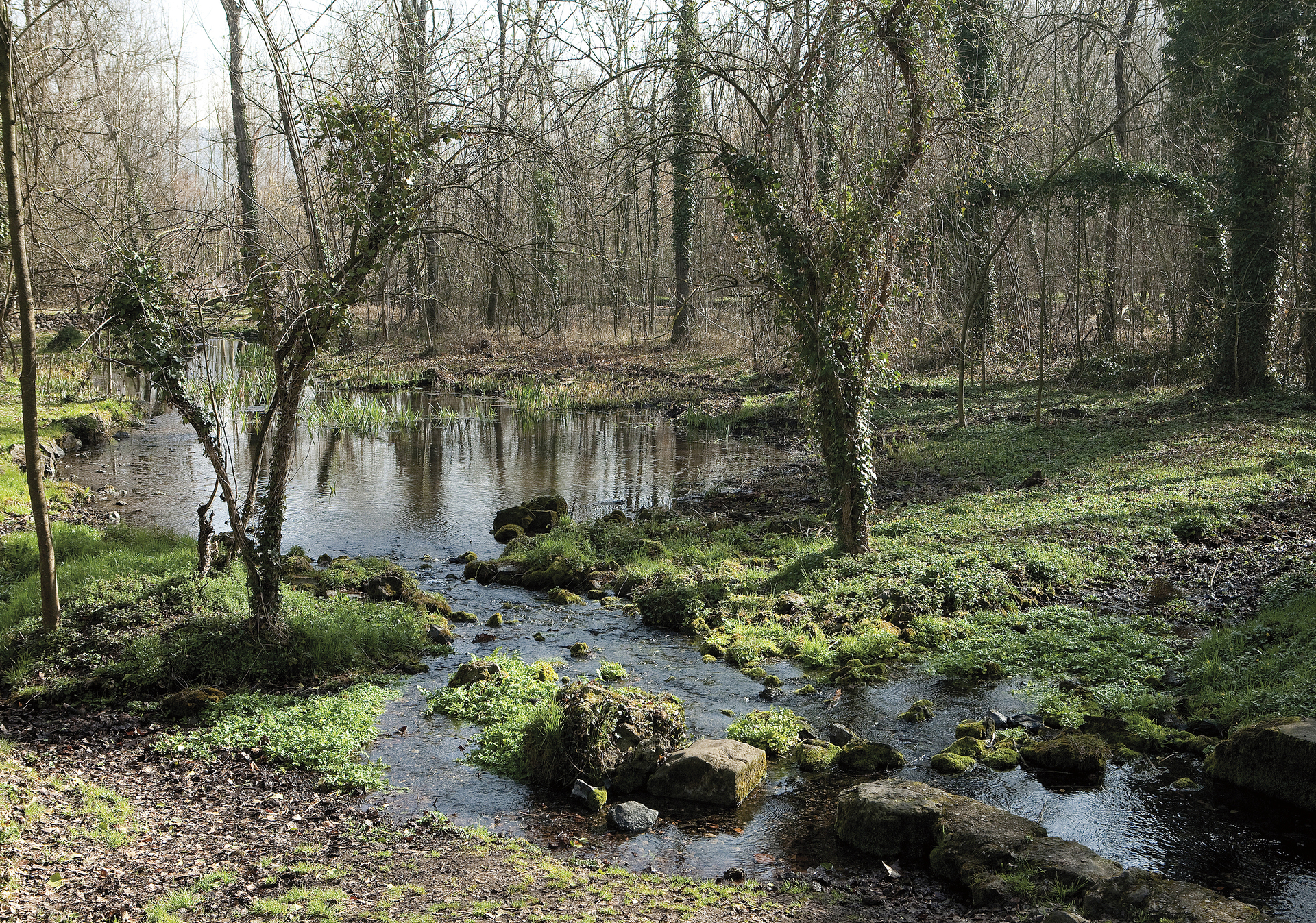 sustainable mannequins